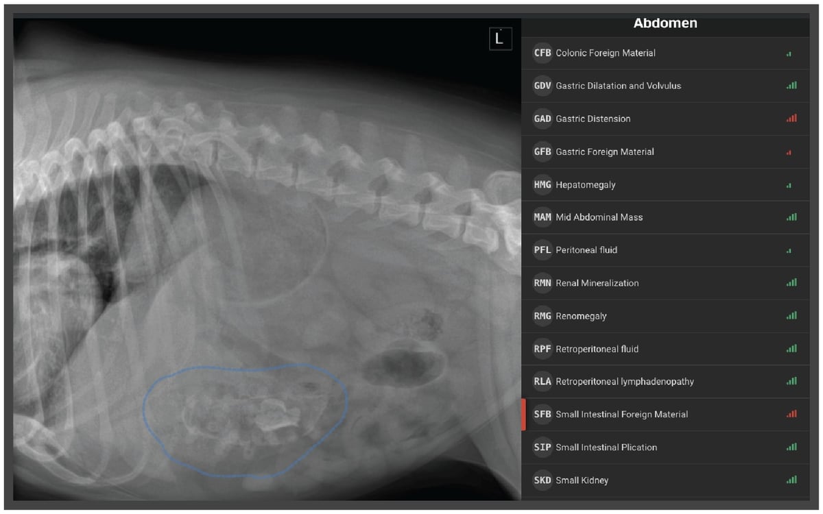 Radiology Case of the Week Canine Gastrointestinal Foreign Body